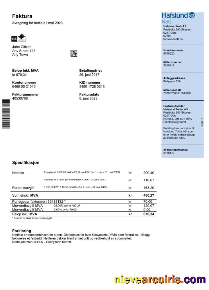 Norway Hafslund utility bill